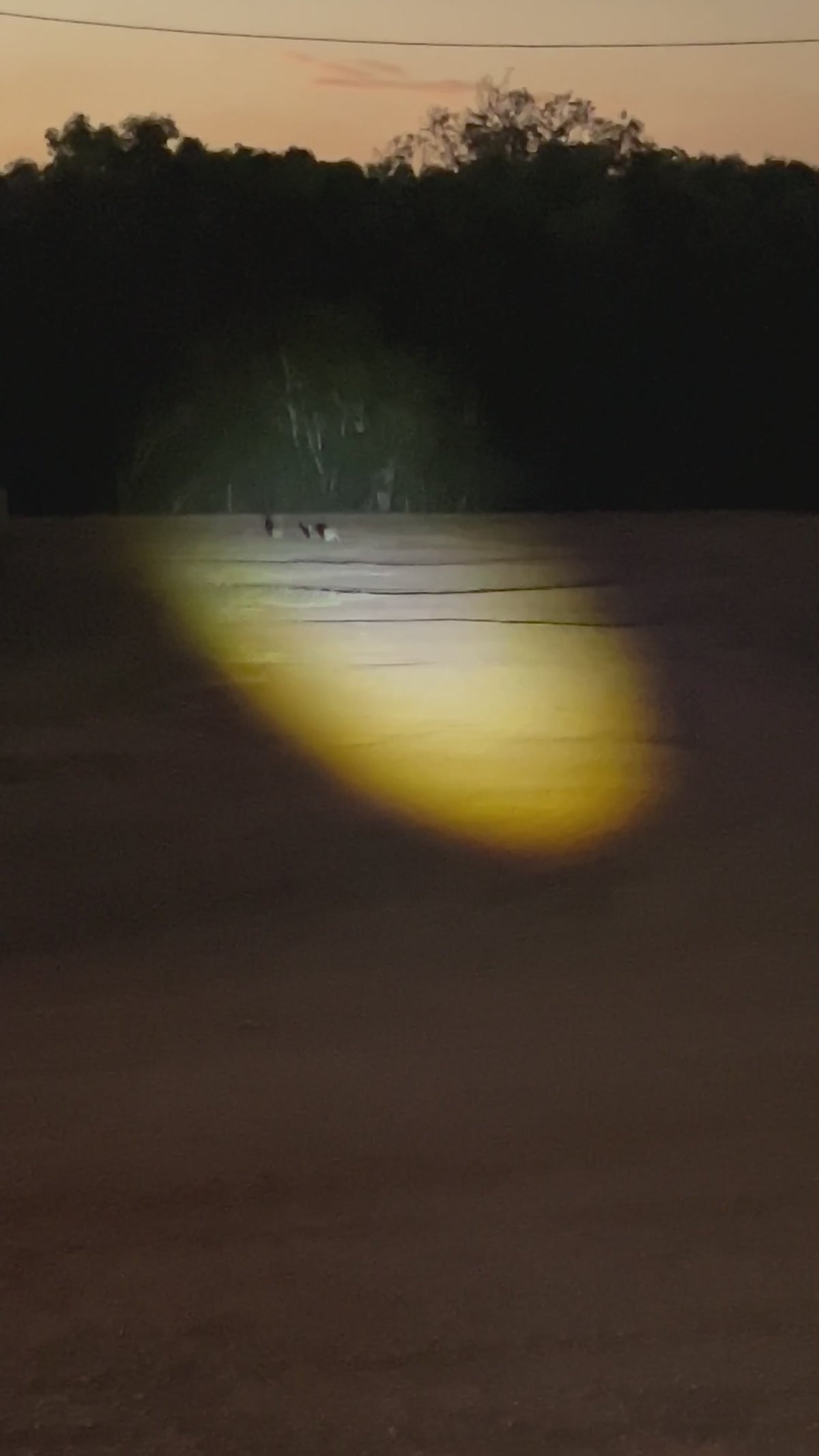 titan-range-beam-projection-test-showing-titan-th13-headlamp-light-distance-kangaroos