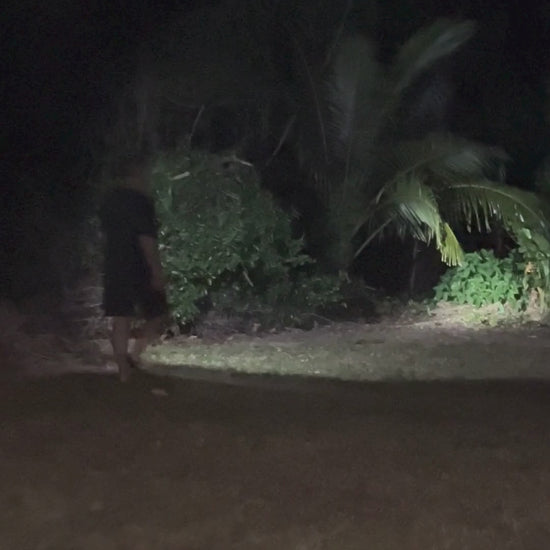 titan-range-th12-headlamp-outside-bush-video-demonstration