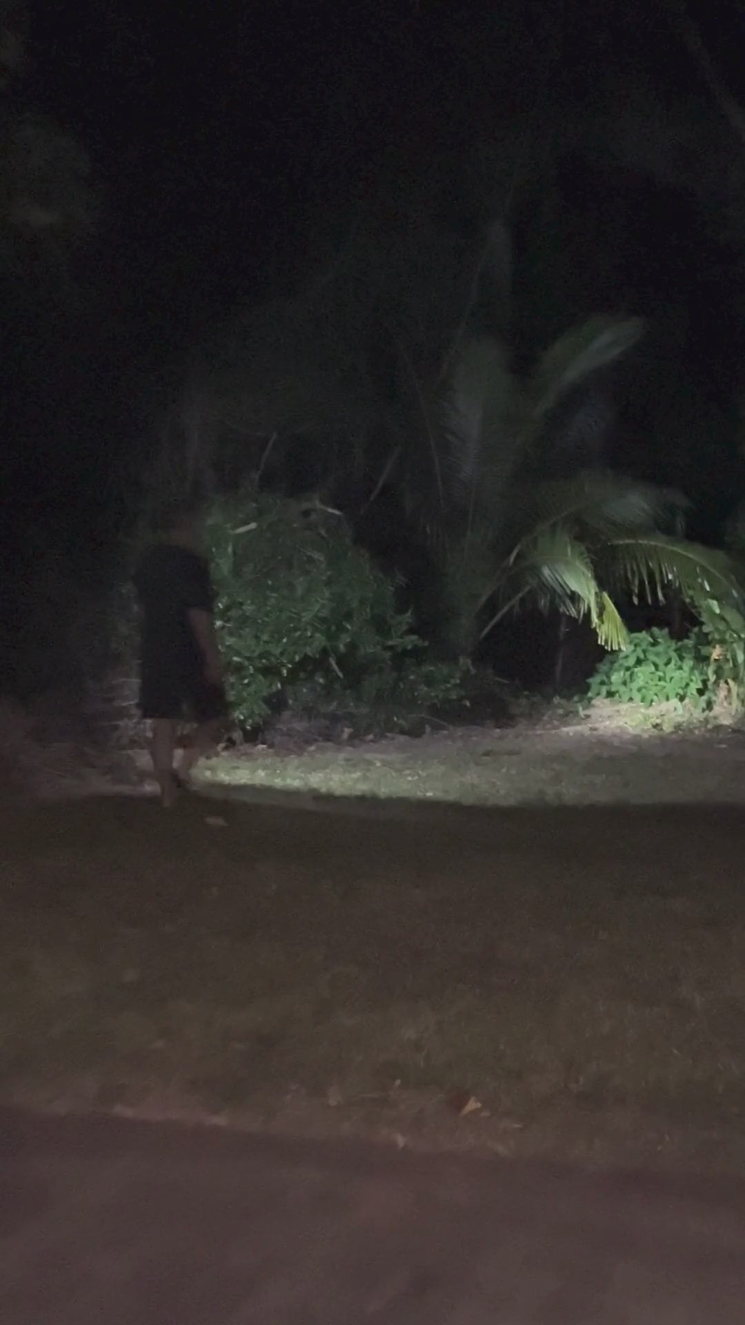 titan-range-th12-headlamp-outside-bush-video-demonstration