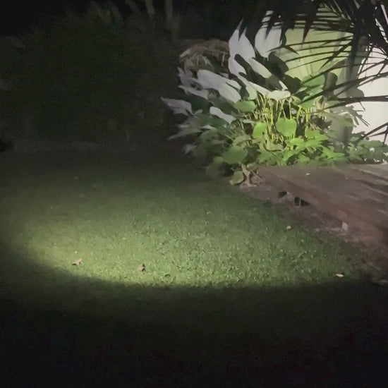 Titan-TH20-600-lumens-video