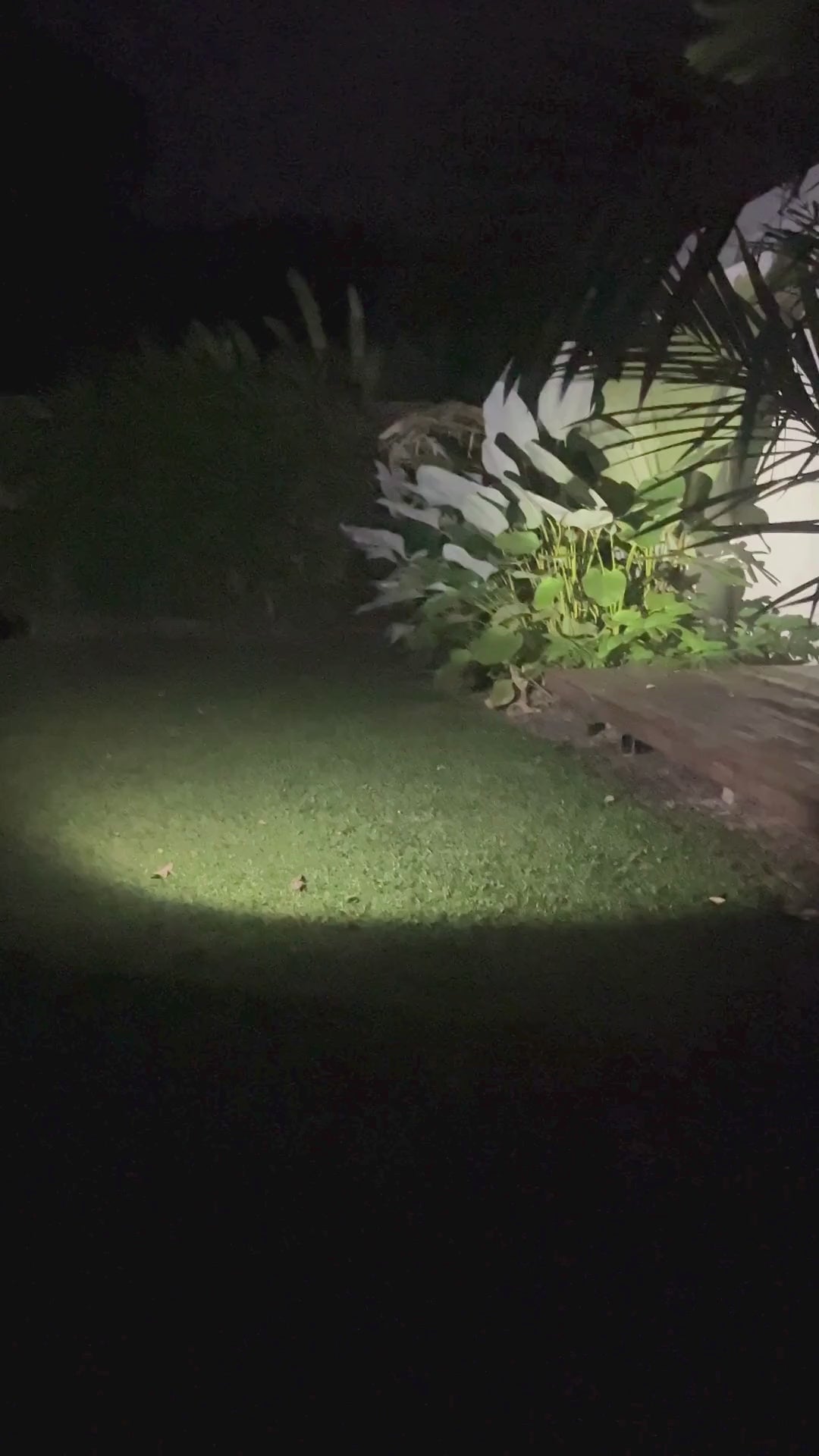 Titan-TH20-600-lumens-video